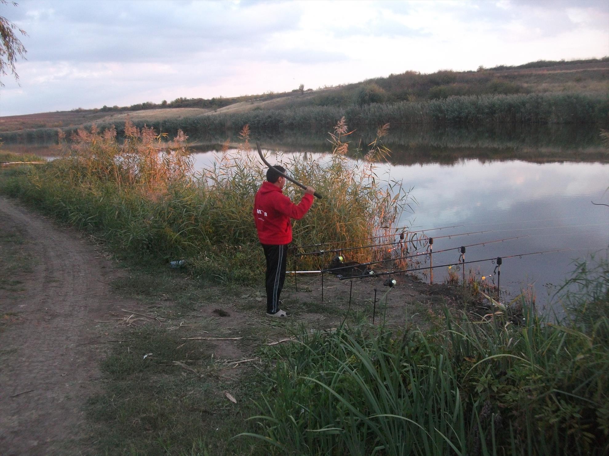 diverse - dscf1630.jpg